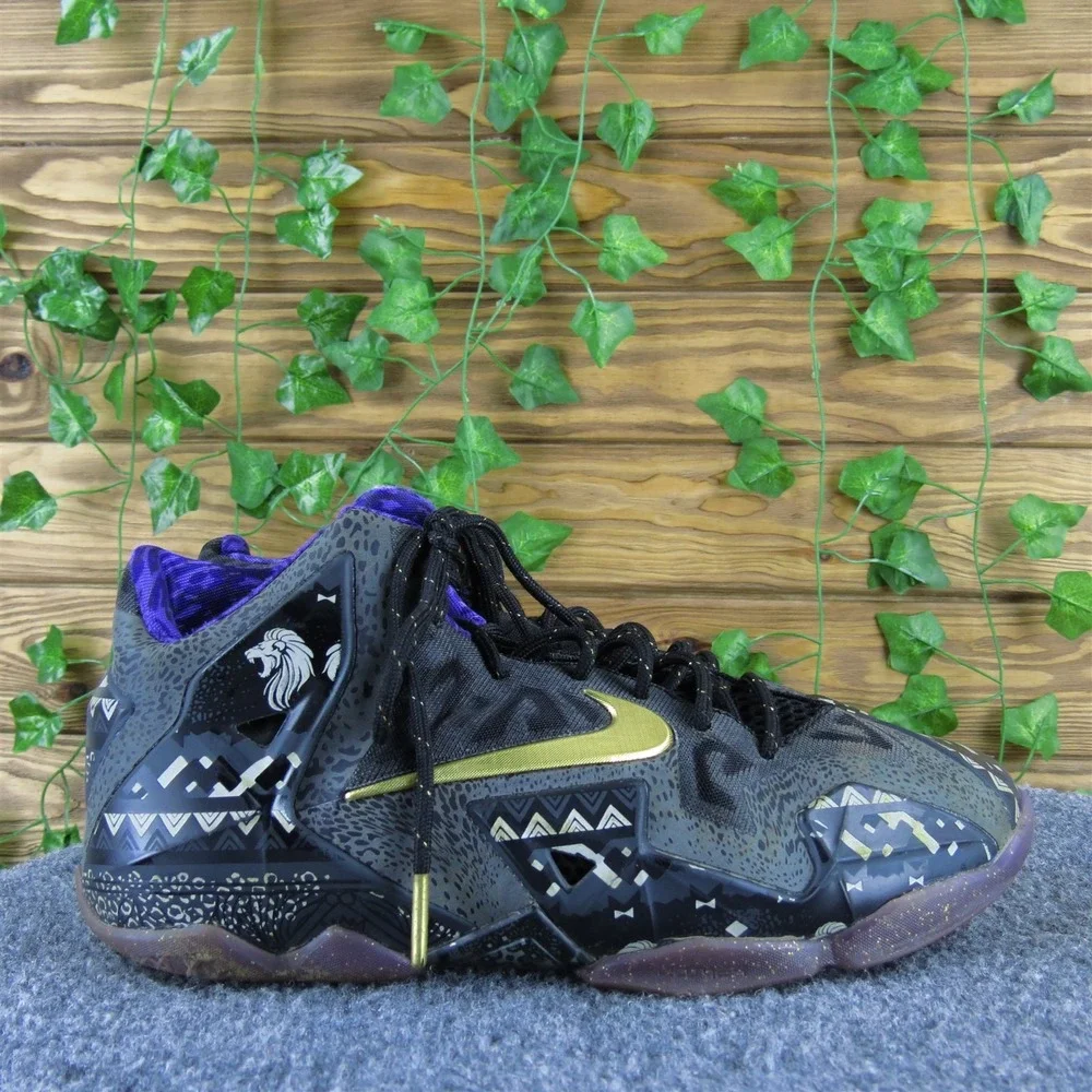 Nike sneaker lebron